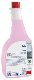 hollu Lavox